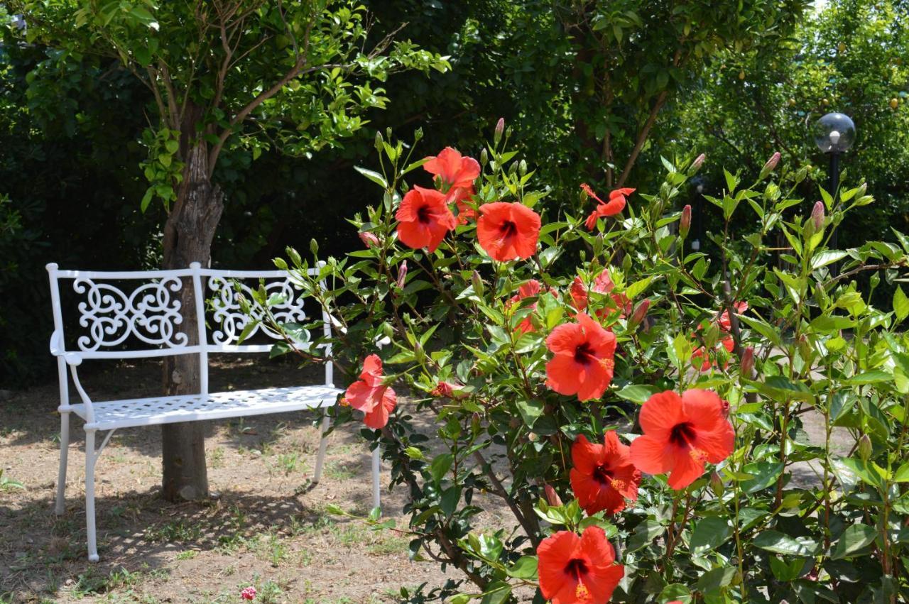 Baia della Serenità Piano di Sorrento Exterior foto