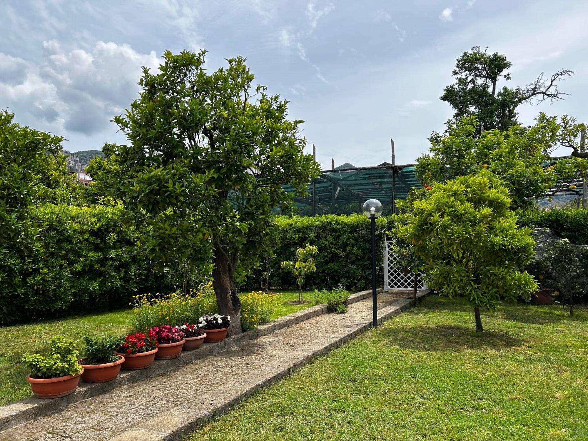 Baia della Serenità Piano di Sorrento Exterior foto